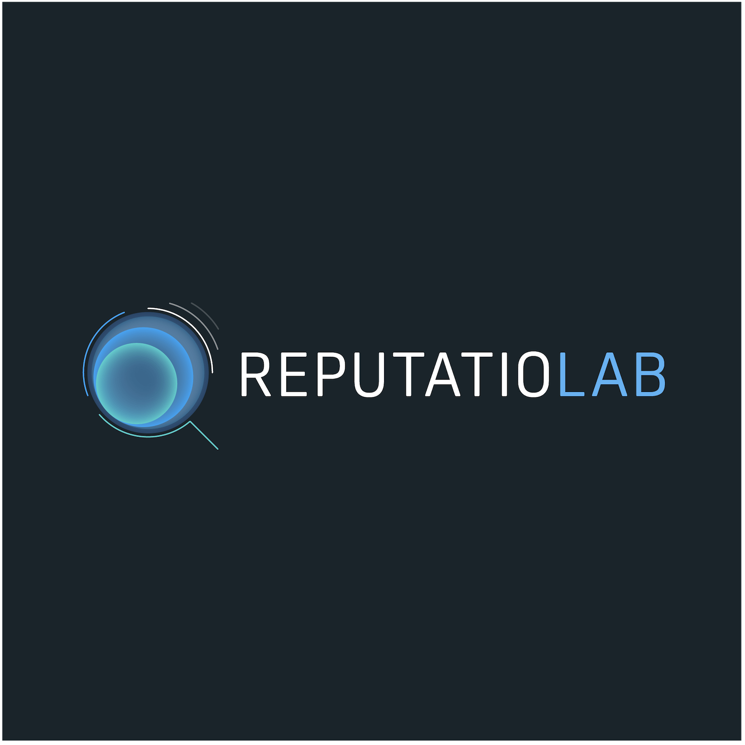 (c) Reputatiolab.com